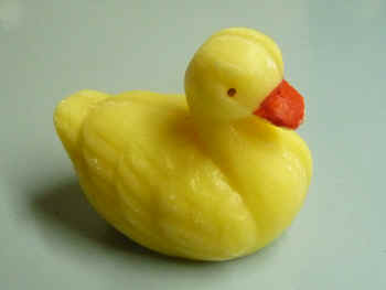duck.jpg (70431 bytes)