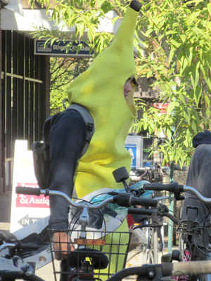 banana.jpg (107086 bytes)