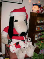 Santa Snoopy.jpg (13532 bytes)